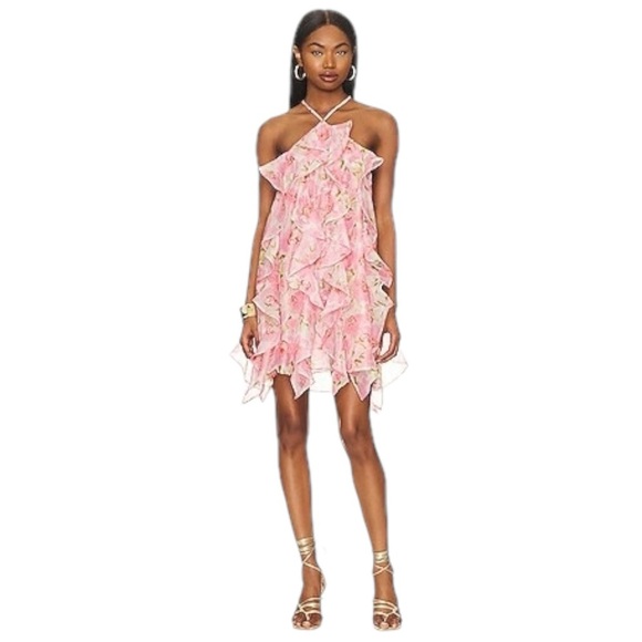 NWT Misa Miah Dress In Pink Floral Coquette tiered whimsical romantic fairy M - Picture 1 of 16
